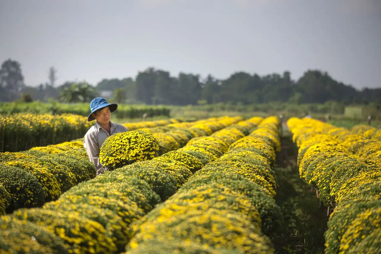 沈阳科技企业软件开发服务选型：定制开发与通用平台的适用场景对比