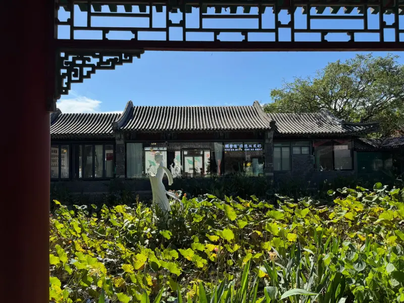 沈阳劳伦斯科技劳伦斯8平台软件开发技术优势解析