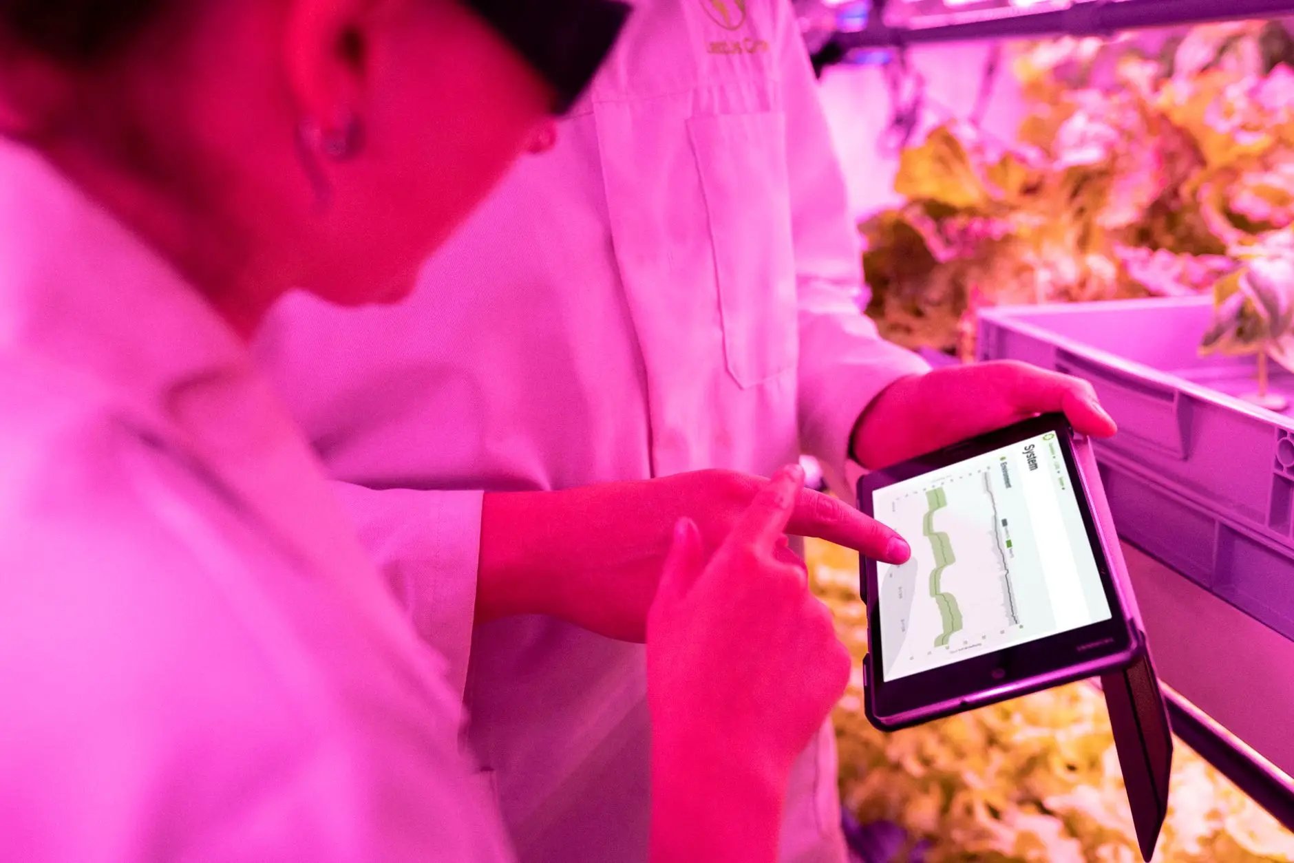 2024年沈阳科发企业技术服务采购趋势与劳伦斯8方案适配性分析