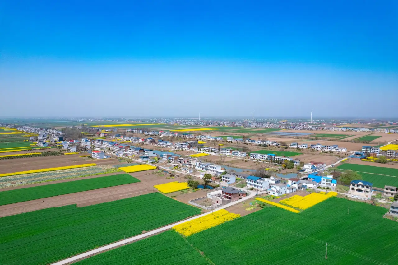 沈阳科技研发服务解析：劳伦斯8如何助力企业构建定制化软件系统