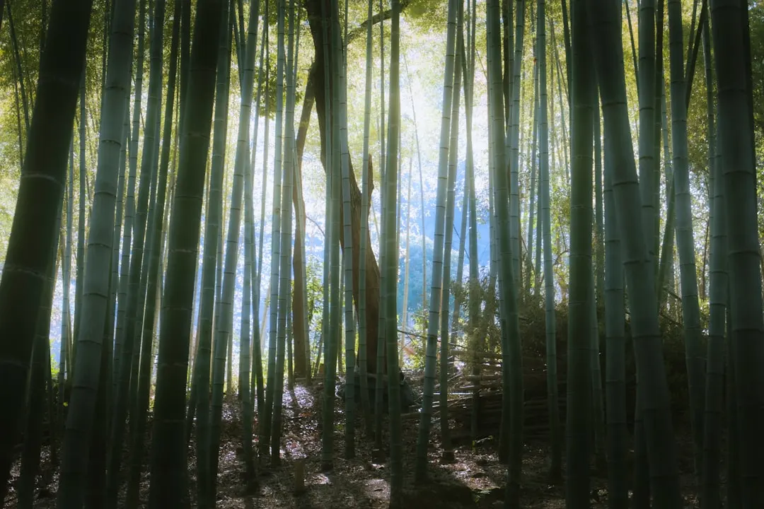 沈阳劳伦斯科技承接工业软件开发项目的服务流程与优势